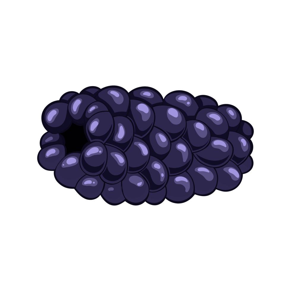 blackberry berry nature cartoon vector illustration