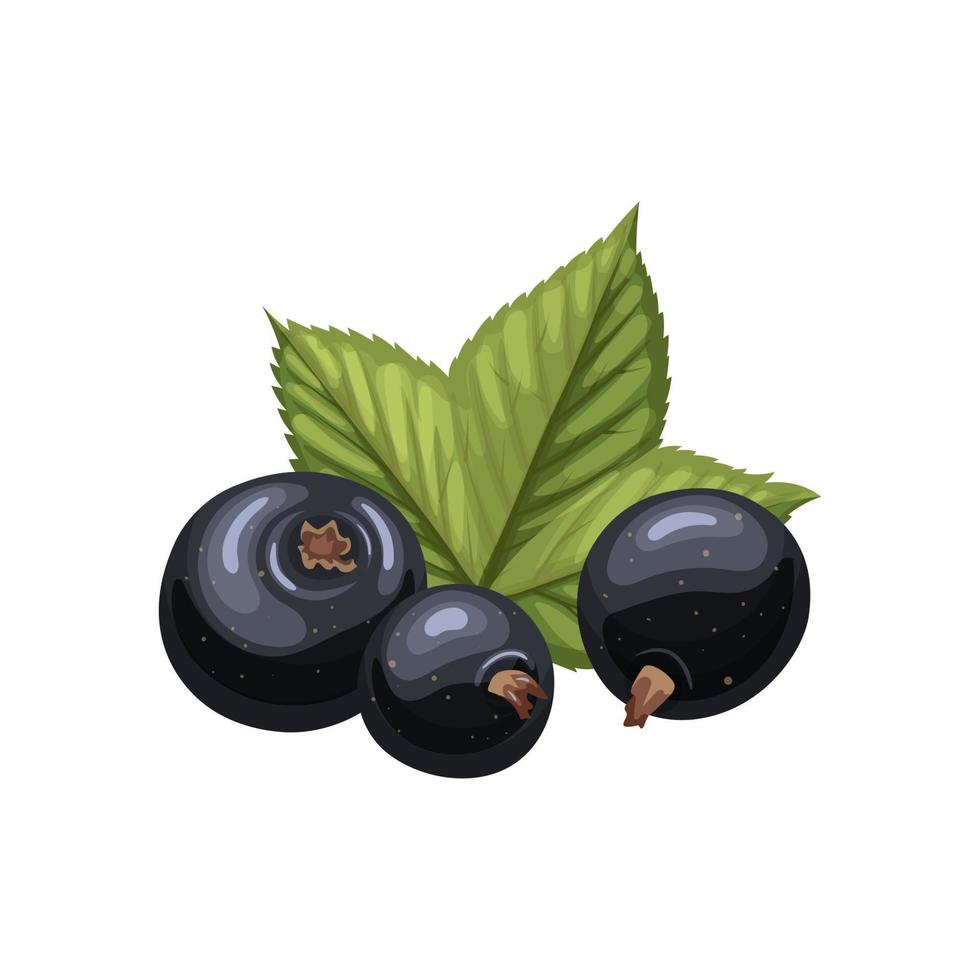 black currant food cartoon vector illustration