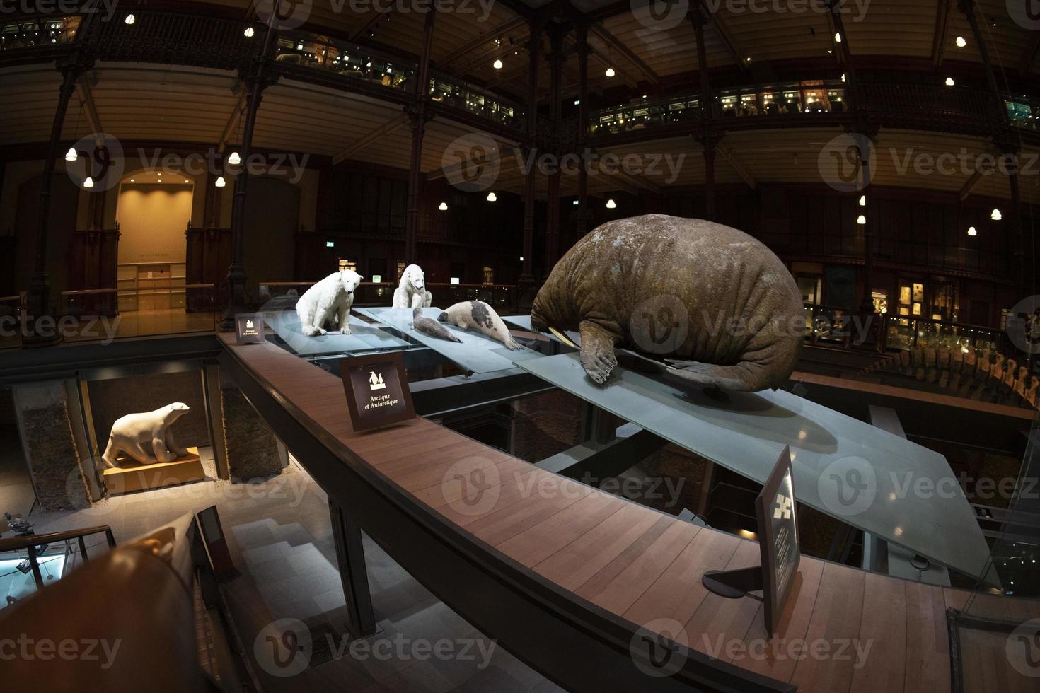 París, Francia - 18 de noviembre de 2021 - galería de la evolución museo de historia natural grande galerie de l'evolution foto