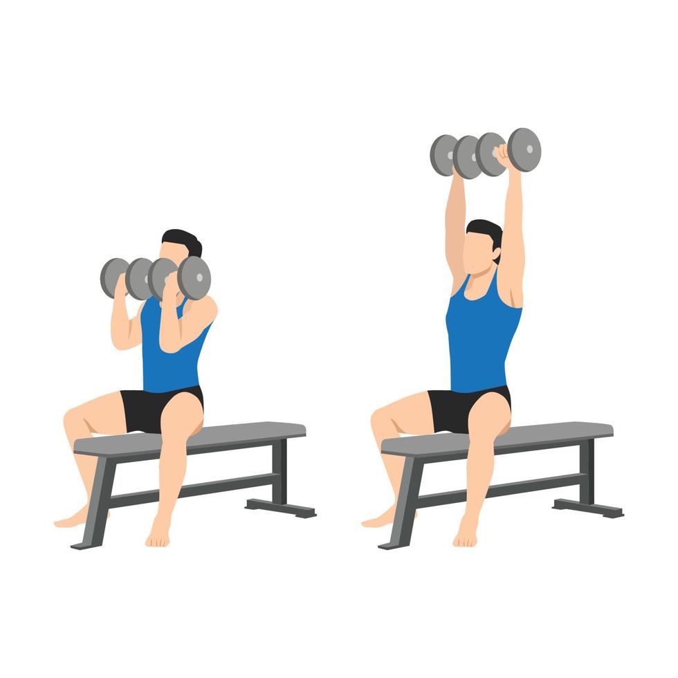 Man doing seated Arnold press on a bench exercise. Flat vector illustration isolated on white background