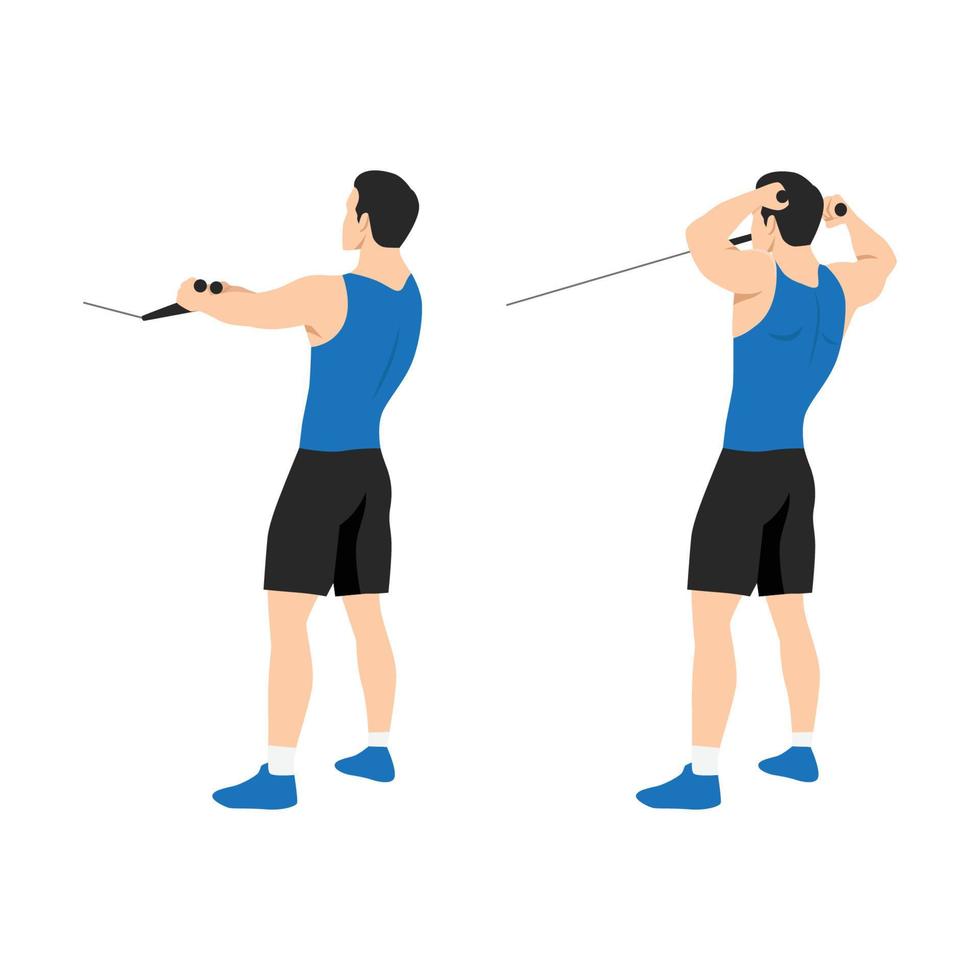 Man doing standing rope face pull. Cable face pull exercise back view. Flat  vector illustration. Shoulder exerciseFlat vector illustration isolated on  white background 17423221 Vector Art at Vecteezy