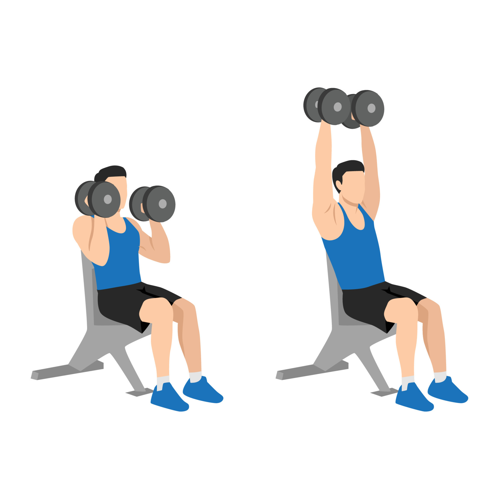 Man doing Seated Shoulder hammer. Overhead presses exercise. Flat