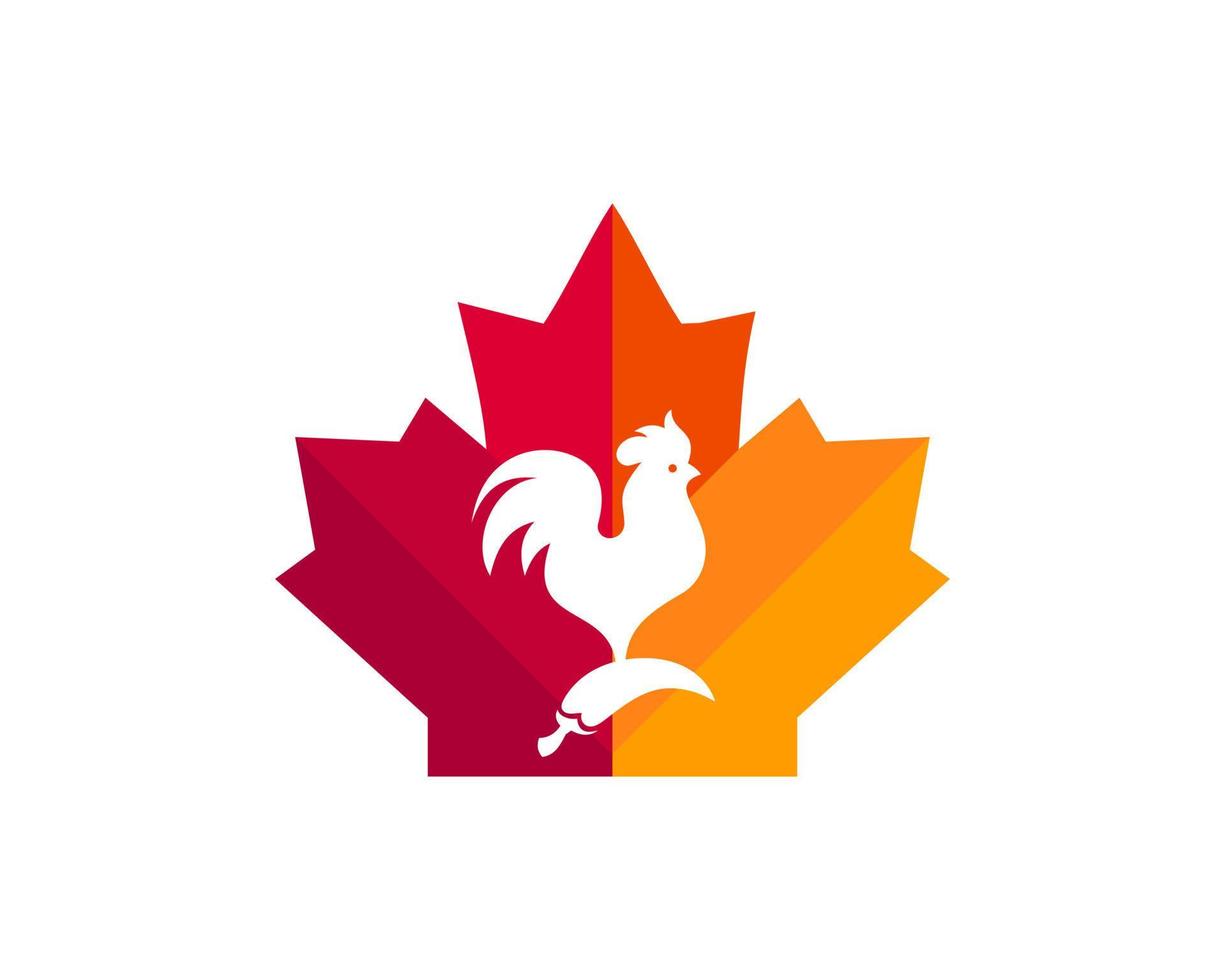 Canadian Chicken logo. Maple leaf with roster vector. Maple Chicken roster logo design vector