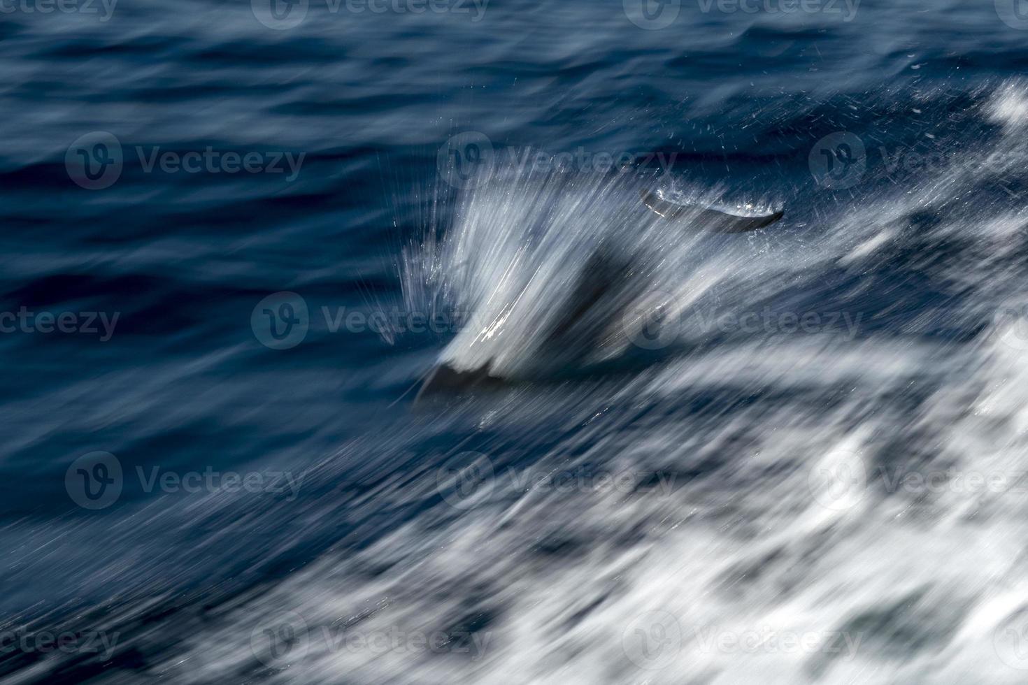 mueve el efecto sobre los delfines mientras saltas en el mar azul profundo foto