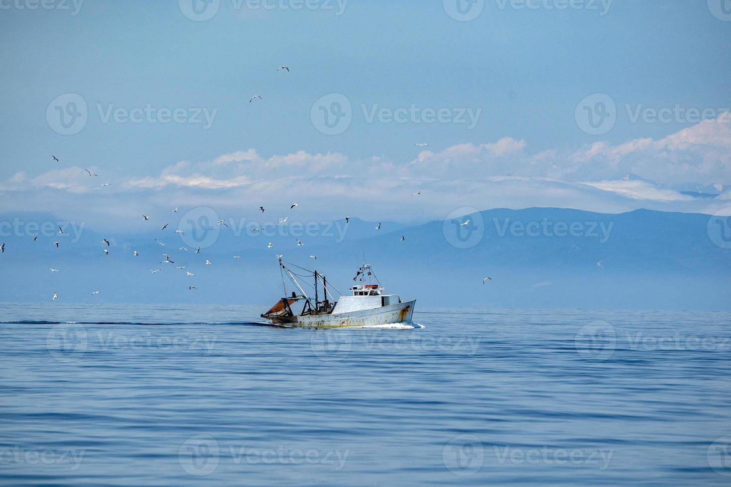 fisherman fishing boat with many seagulls photo