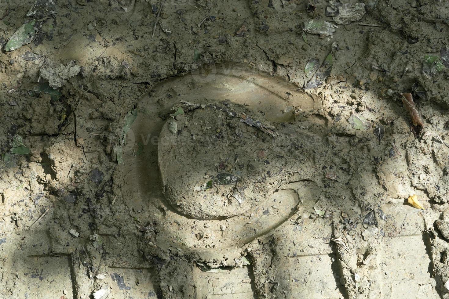 horseshoe foot on mud photo