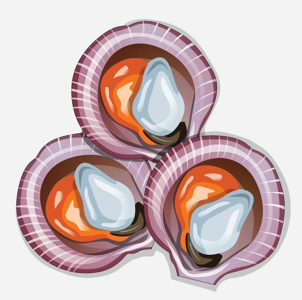 Vector illustration scallops in a plate