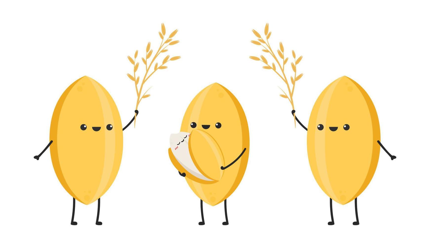 Rice character design. rice vector on white background. rice seed.