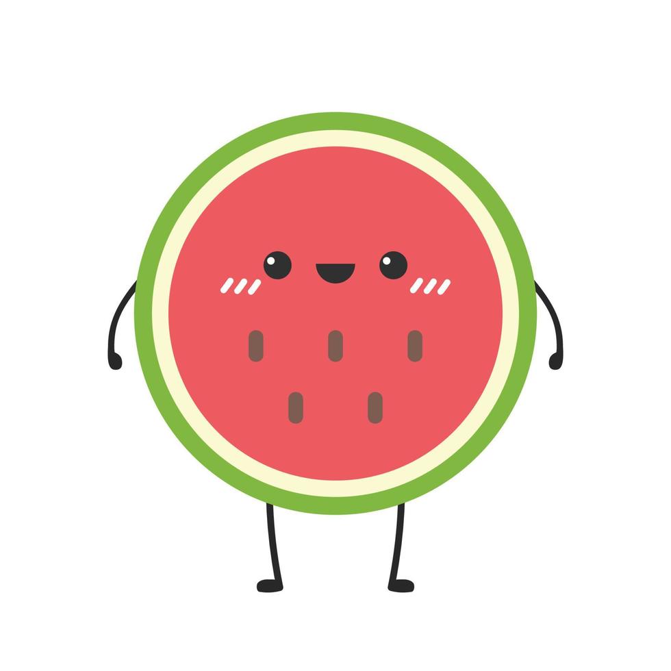 water melon character vector. melon on white background. wallpaper. symbol. logo design. vector