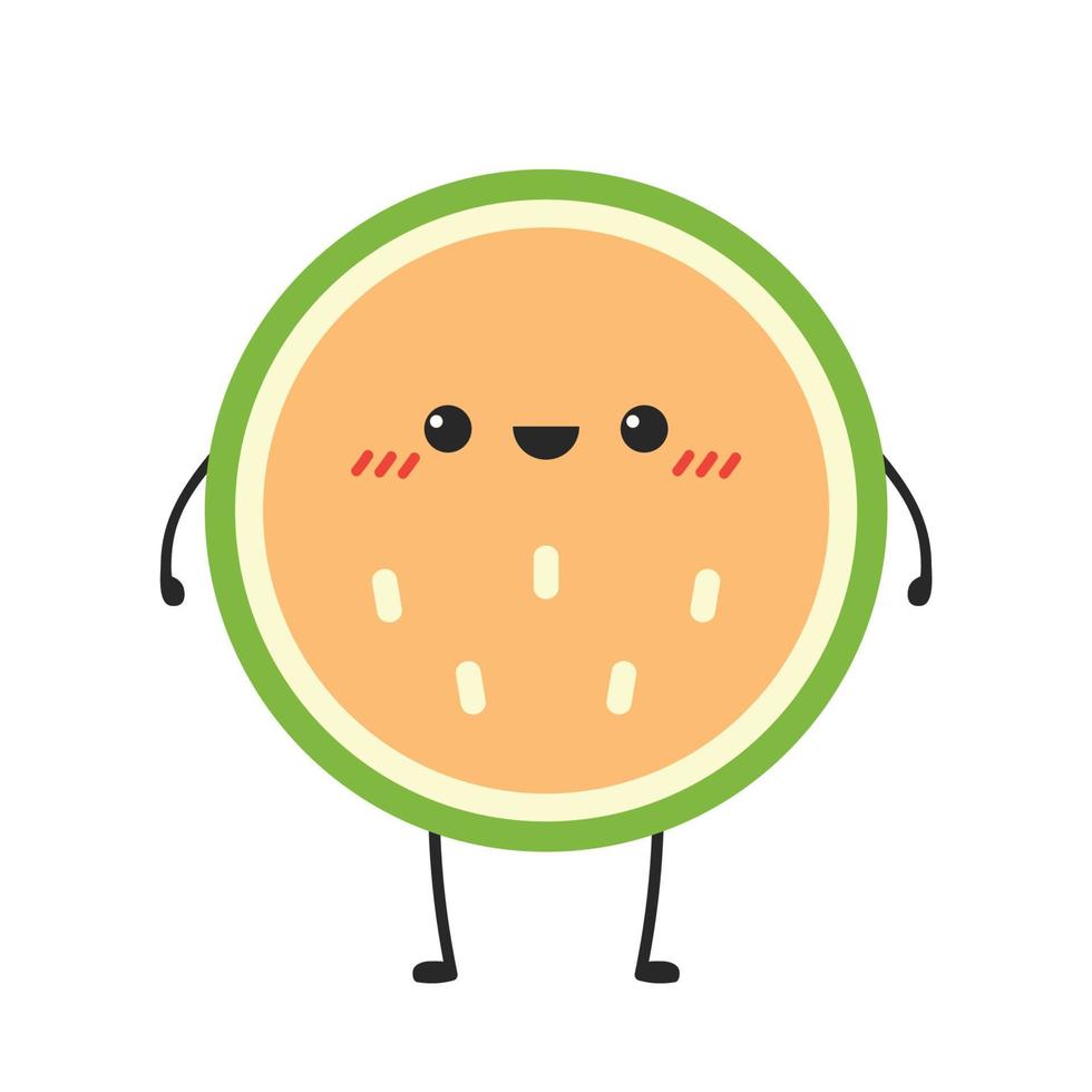 melon character vector. melon on white background. wallpaper. symbol. logo design. vector