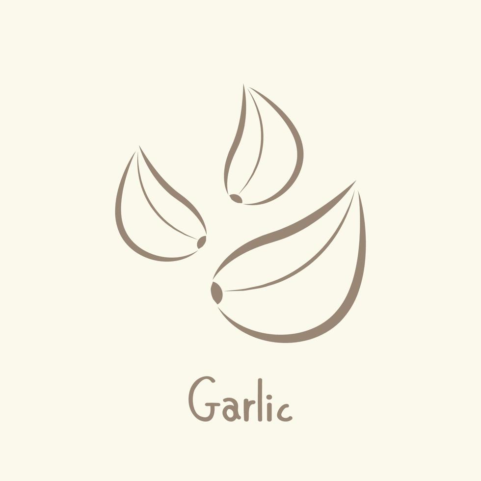 Garlic and blank pepper vector. Garlic logo design. Garlic symbol. wallpaper. free space for text. vector