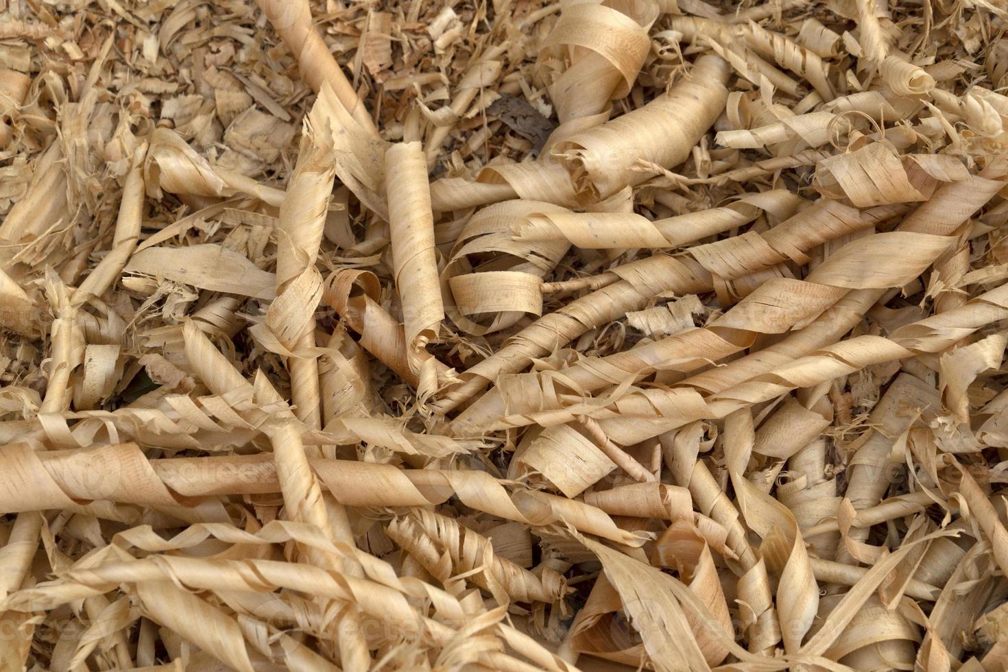 Wood chippings in sawmill detail photo