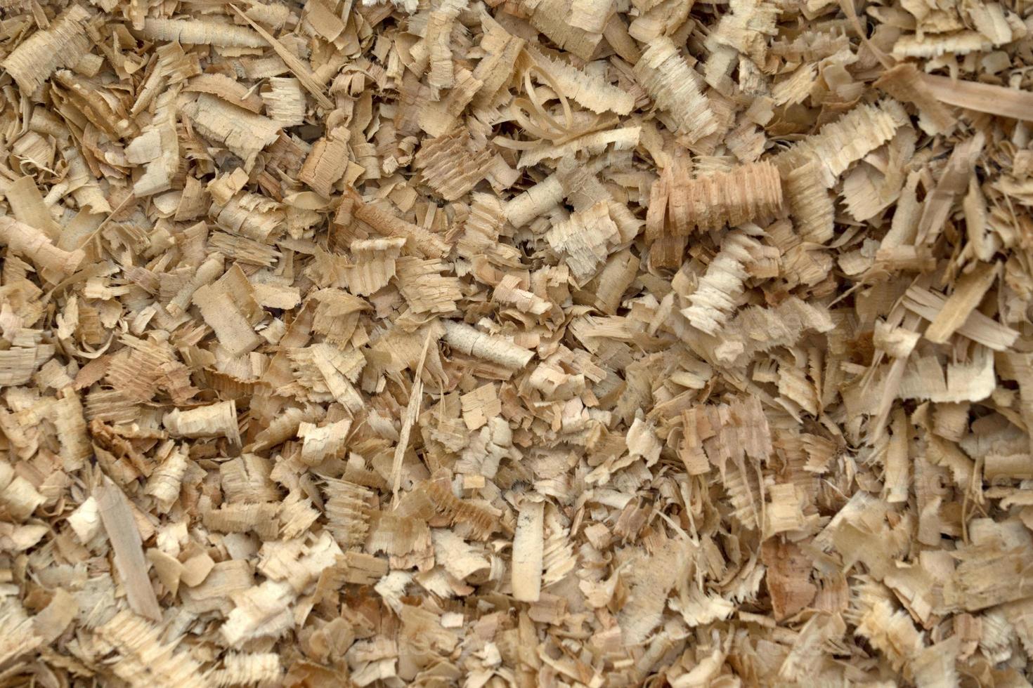 Wood chippings in sawmill detail photo