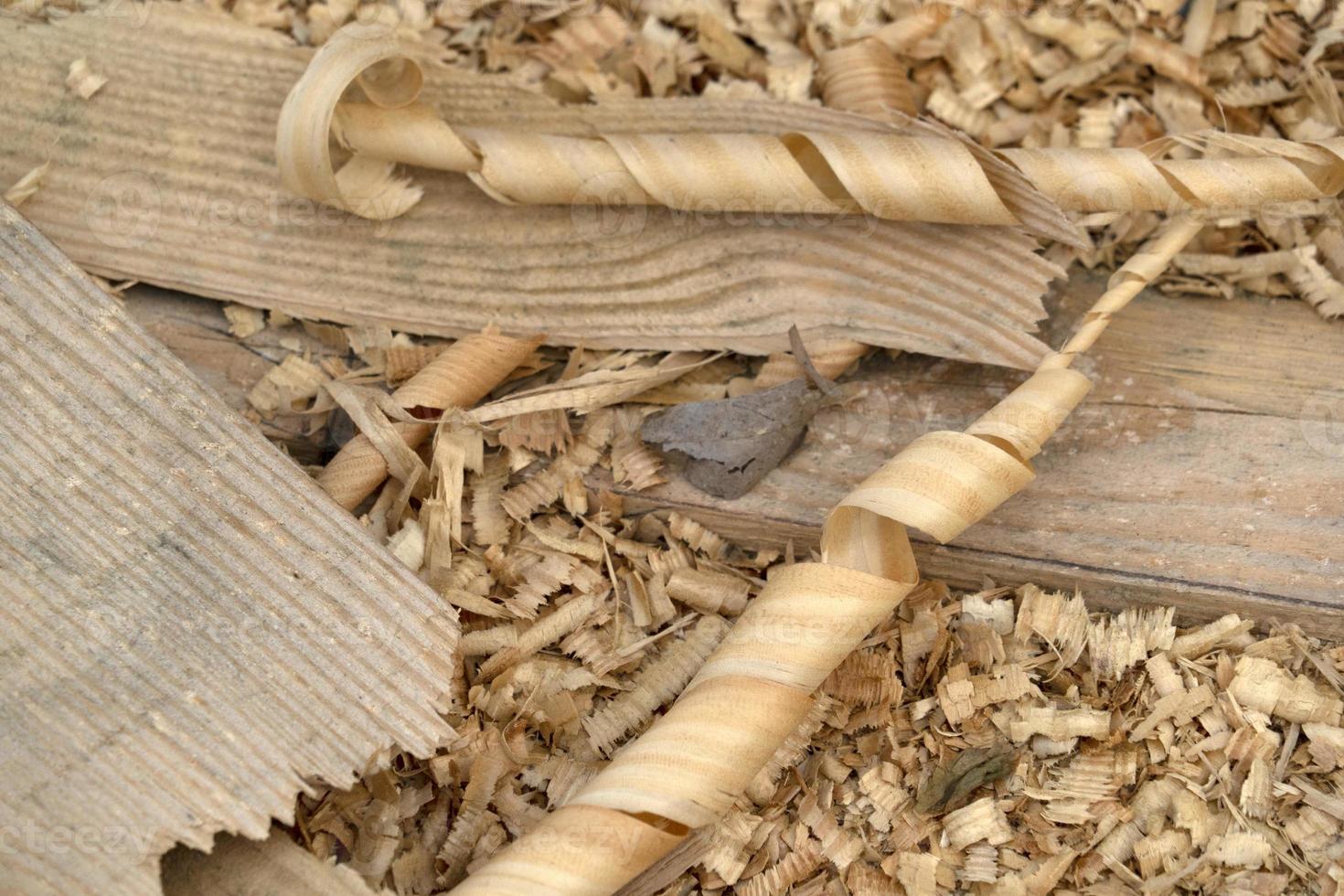 Wood chippings in sawmill detail photo