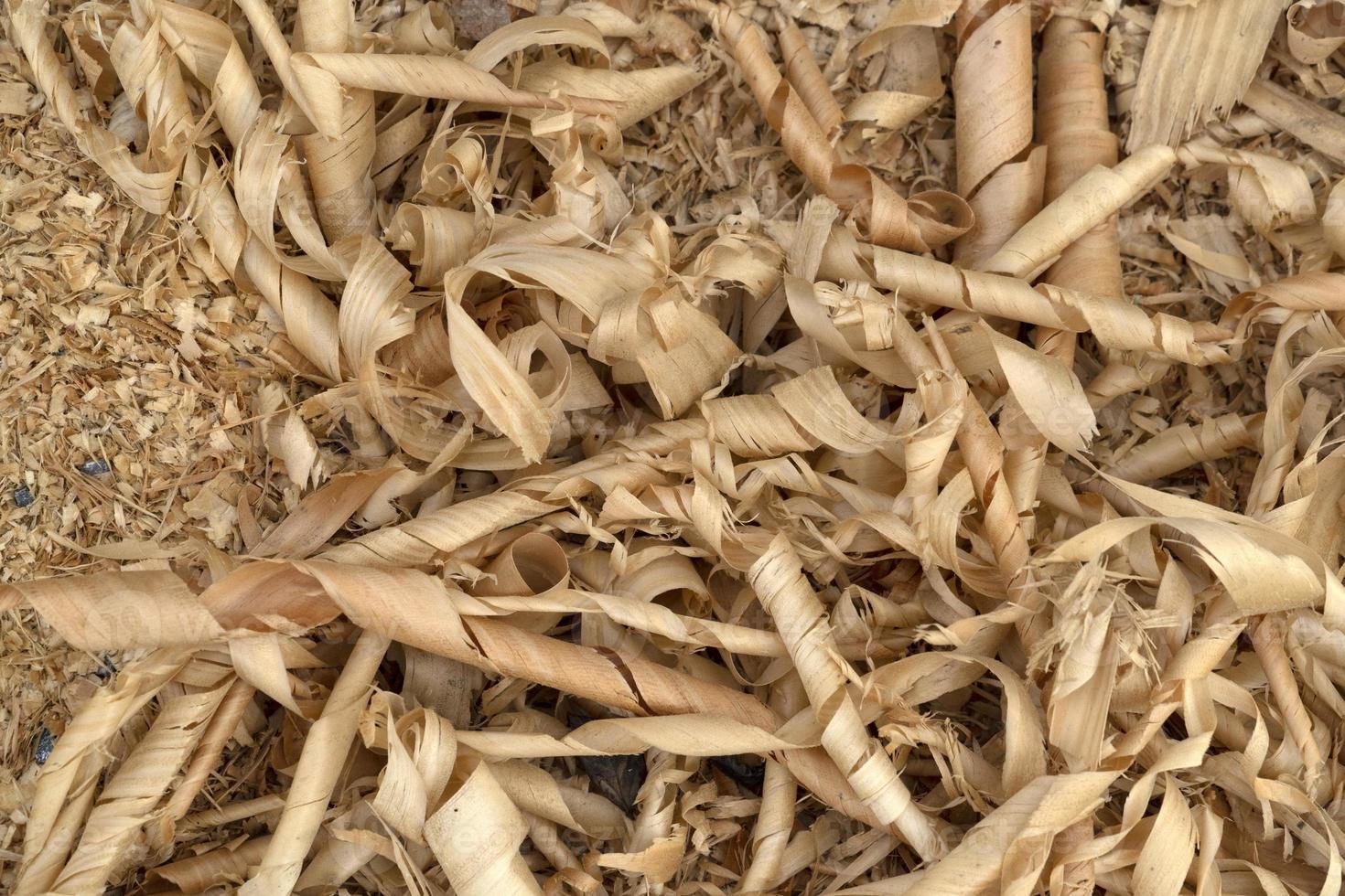 Wood chippings in sawmill detail photo