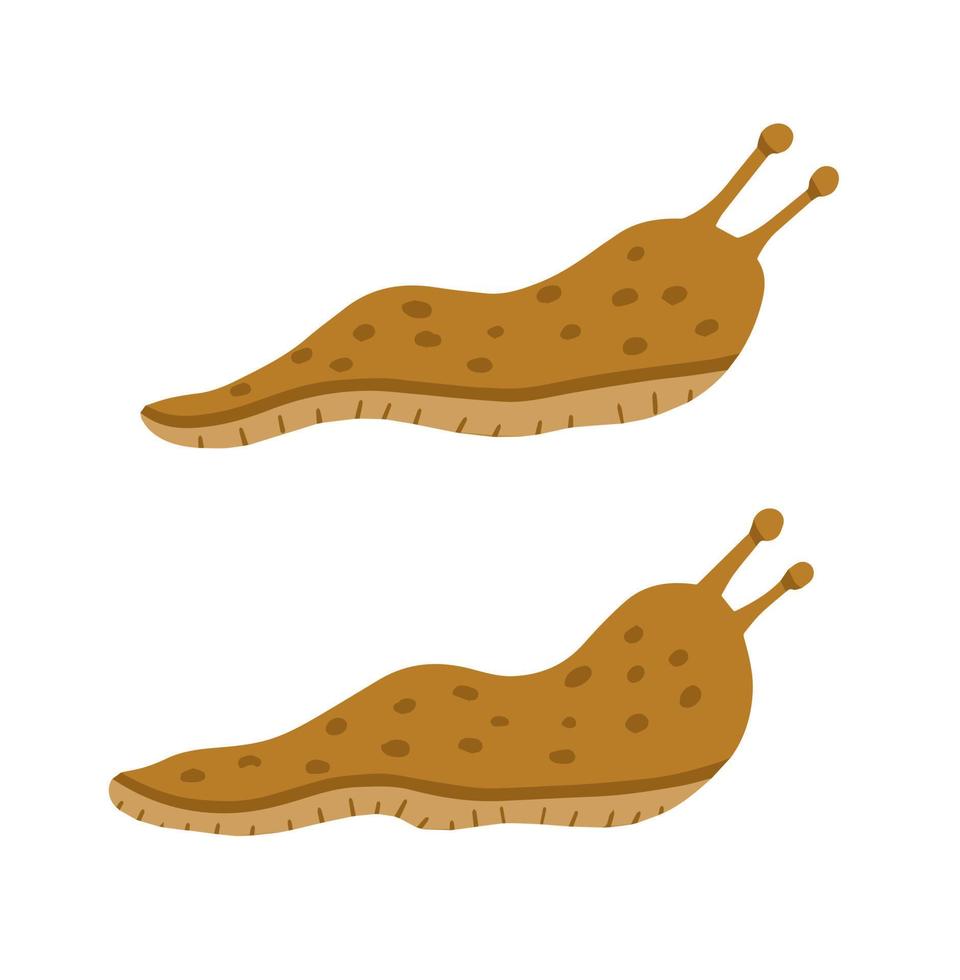 Green and brown slug. Set of slippery insects. Flat cartoon illustration isolated on white background vector