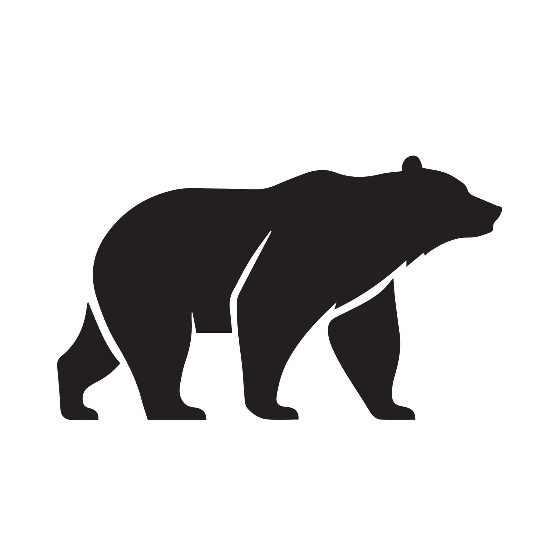 Bear icon logo. Minimal modern black and white vector illustration