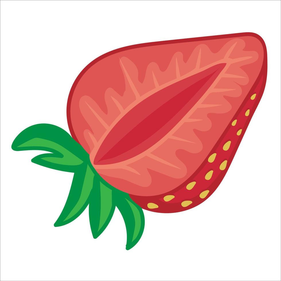 Hand-drawn half of ripe strawberry vector