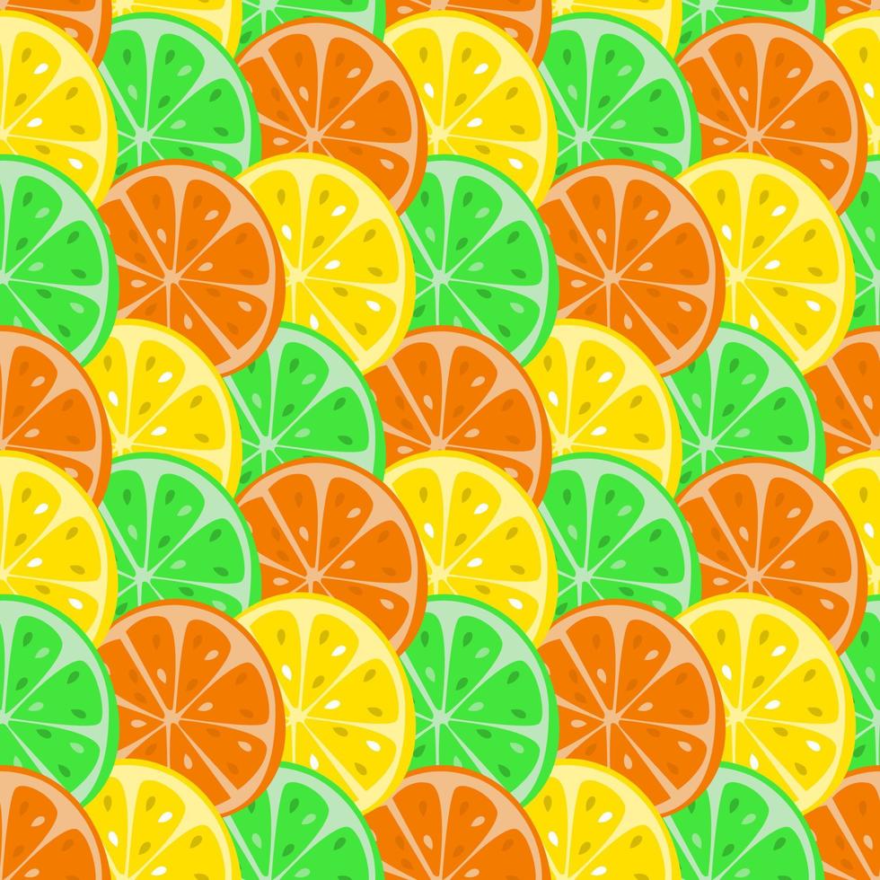 Seamless pattern from citrus slices vector
