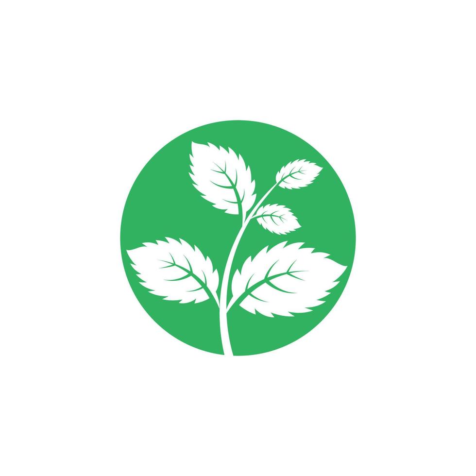 Mint leaves flat vector icon