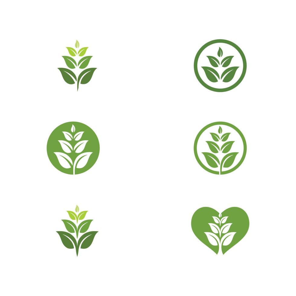 logotipos de la ecología de la hoja del árbol verde vector