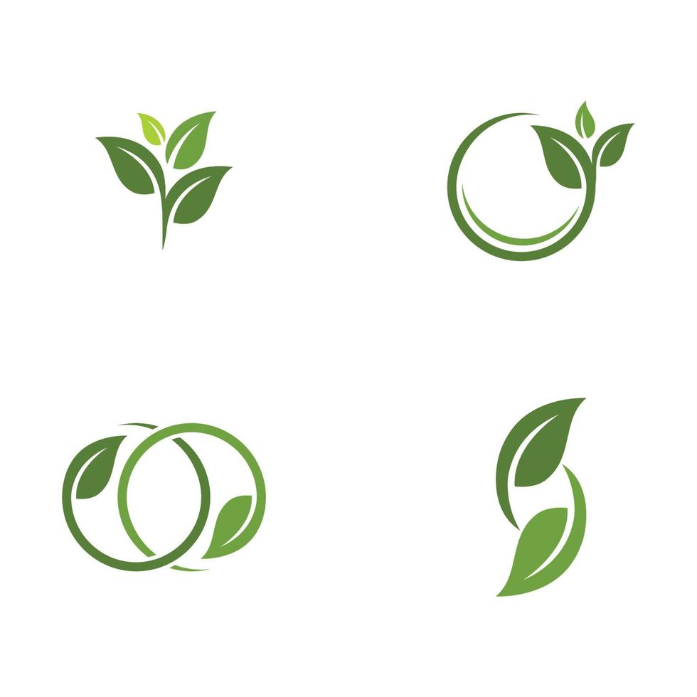 Logos of green Tree leaf ecology vector