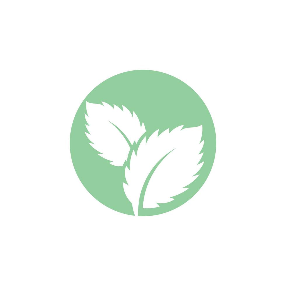 Mint leaves flat vector icon