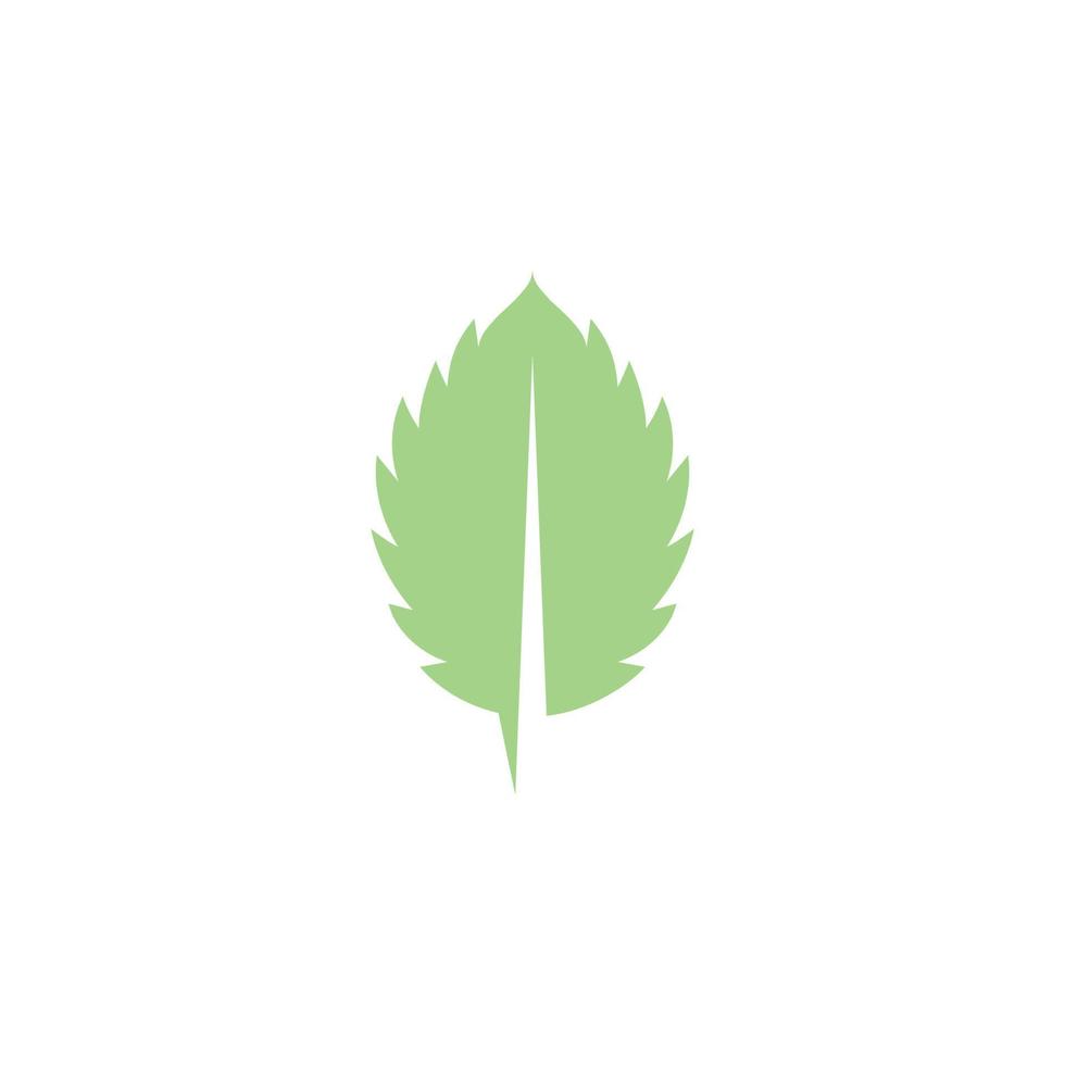 Mint leaves flat vector icon