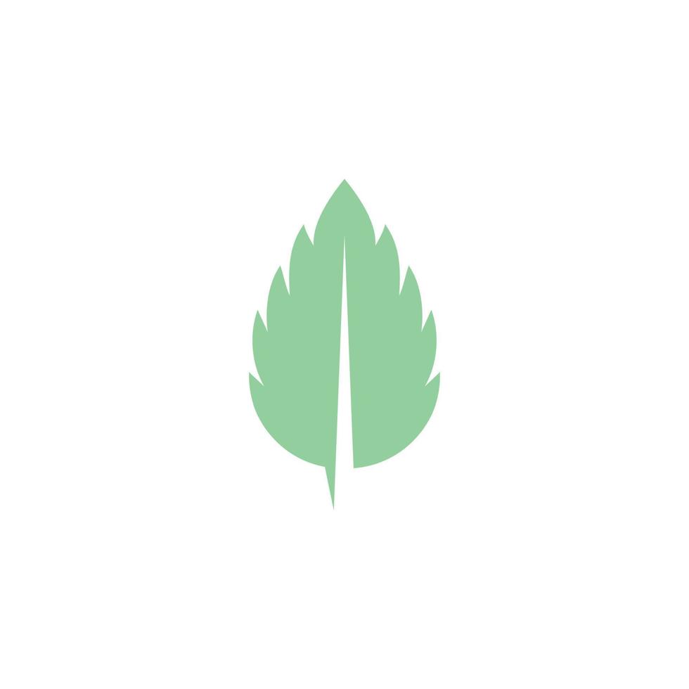 Mint leaves flat vector icon
