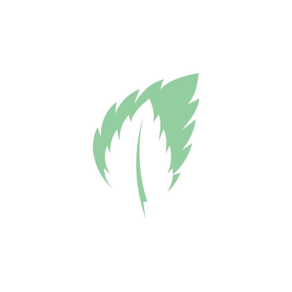 Mint leaves flat vector icon