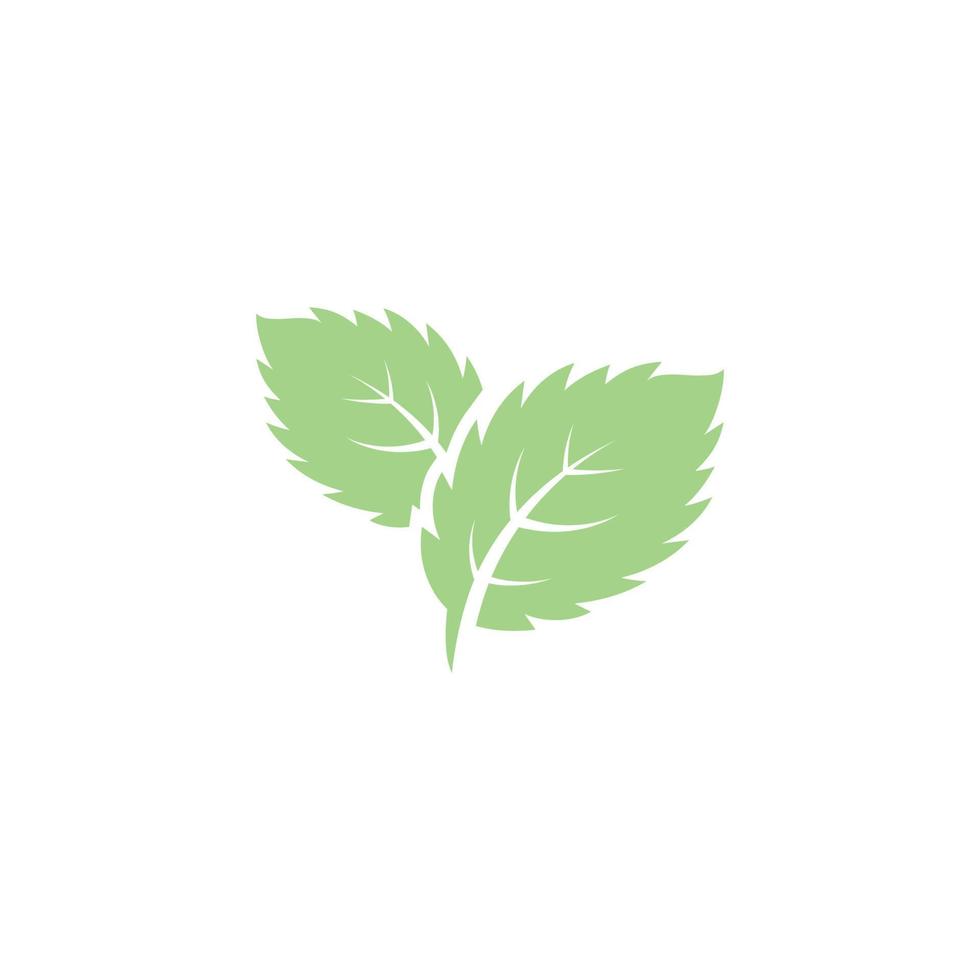 Mint leaves flat vector icon