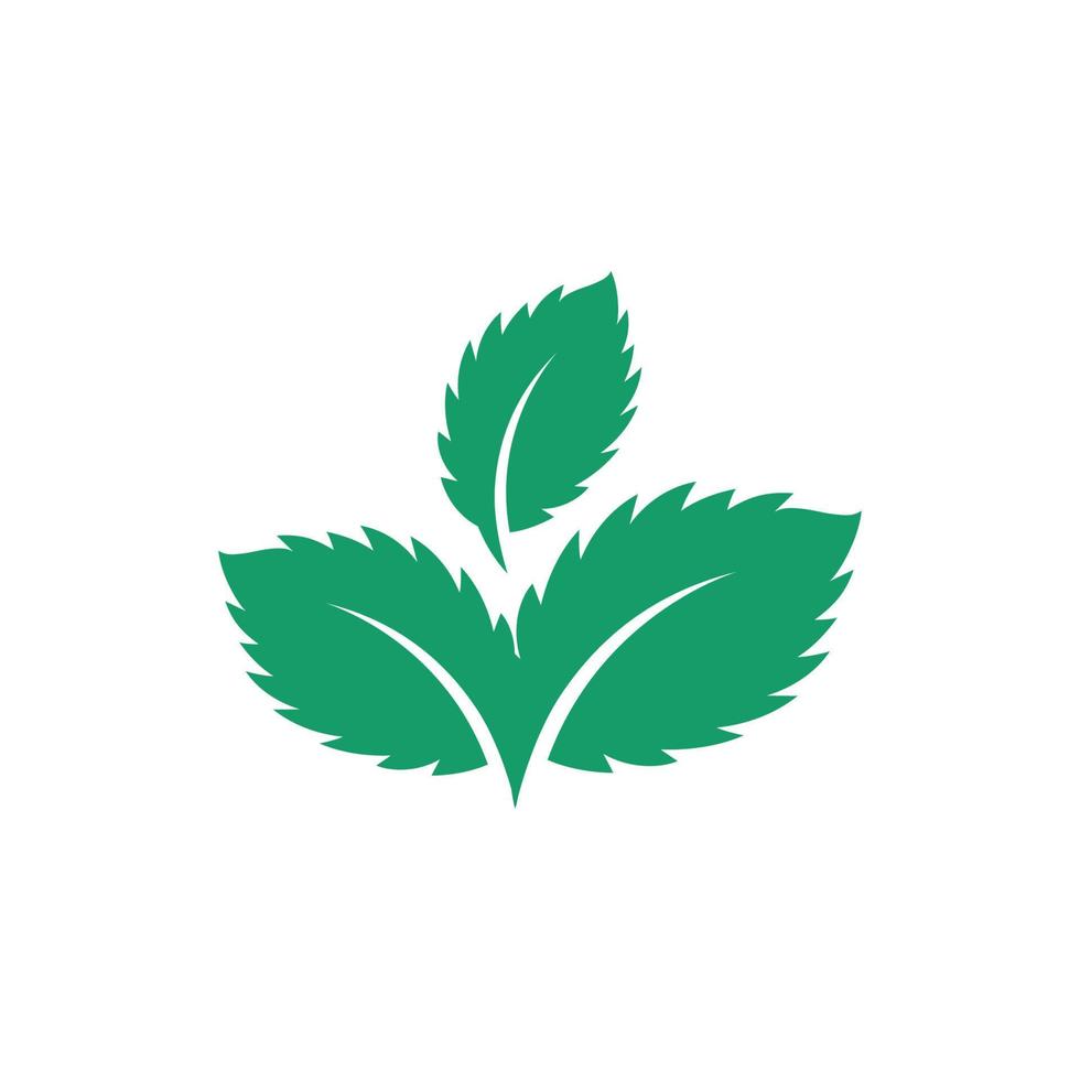 Mint leaves flat vector icon