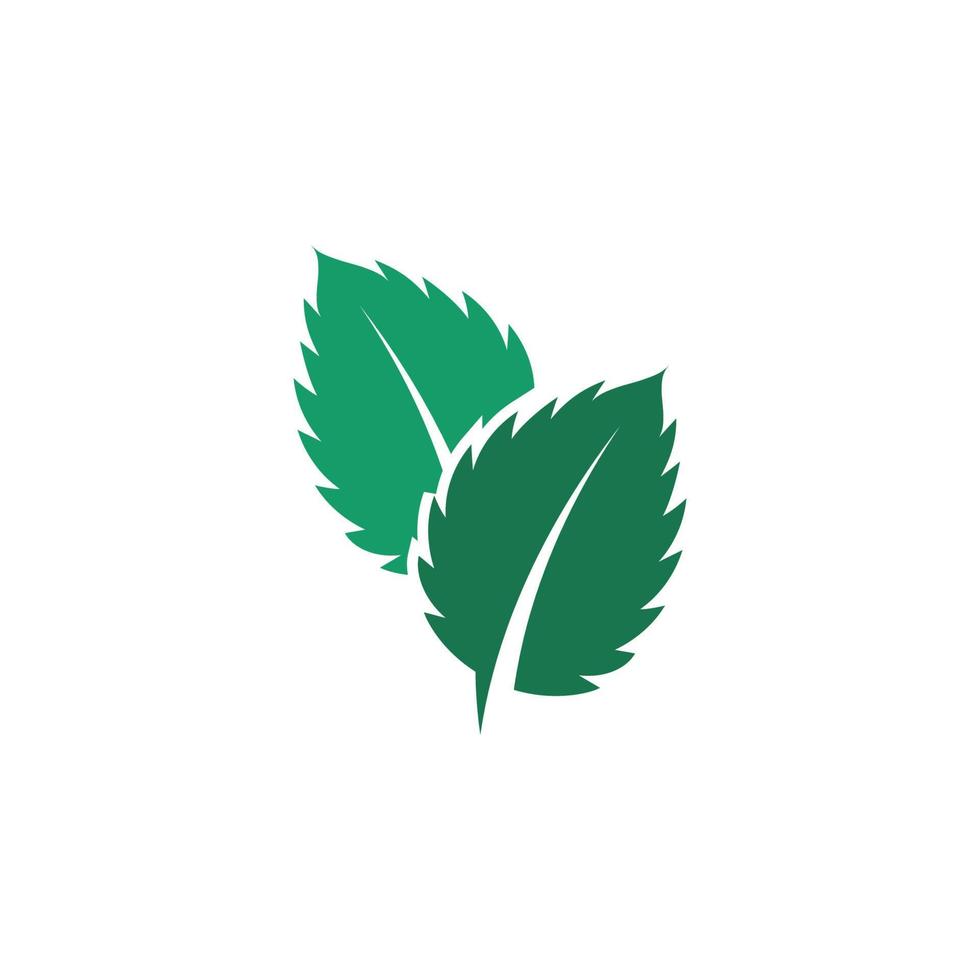 Mint leaves flat vector icon