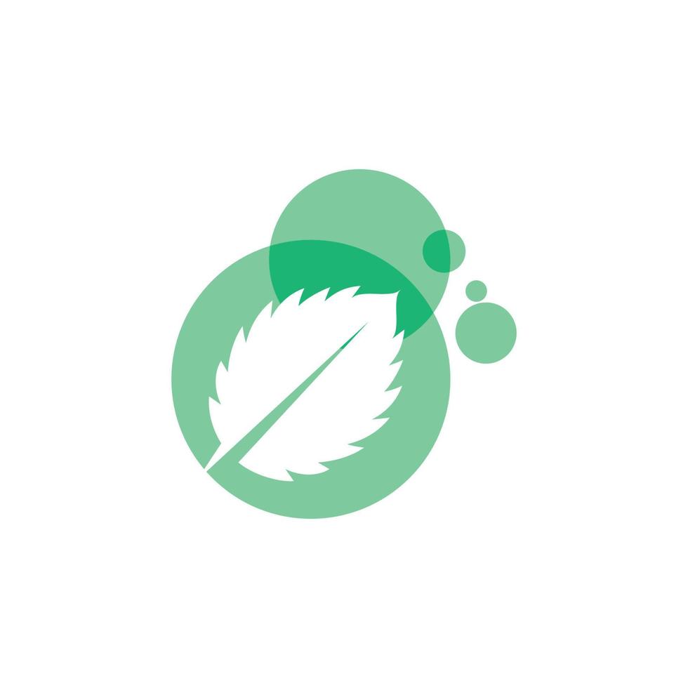 Mint leaves flat vector icon