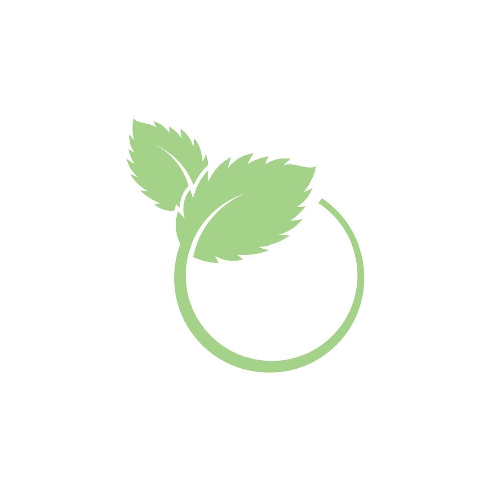 Mint leaves flat vector icon