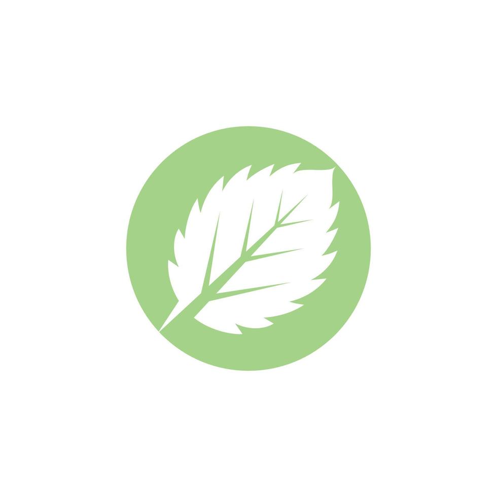 Mint leaves flat vector icon