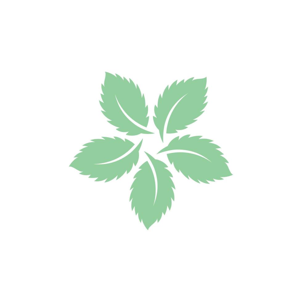 Mint leaves flat vector icon