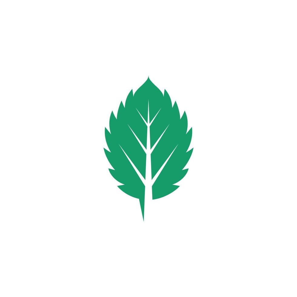 Mint leaves flat vector icon