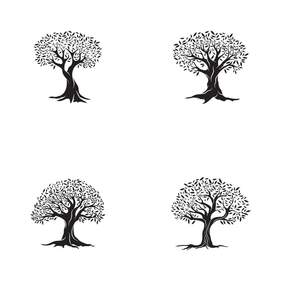 Olive tree vector illustration