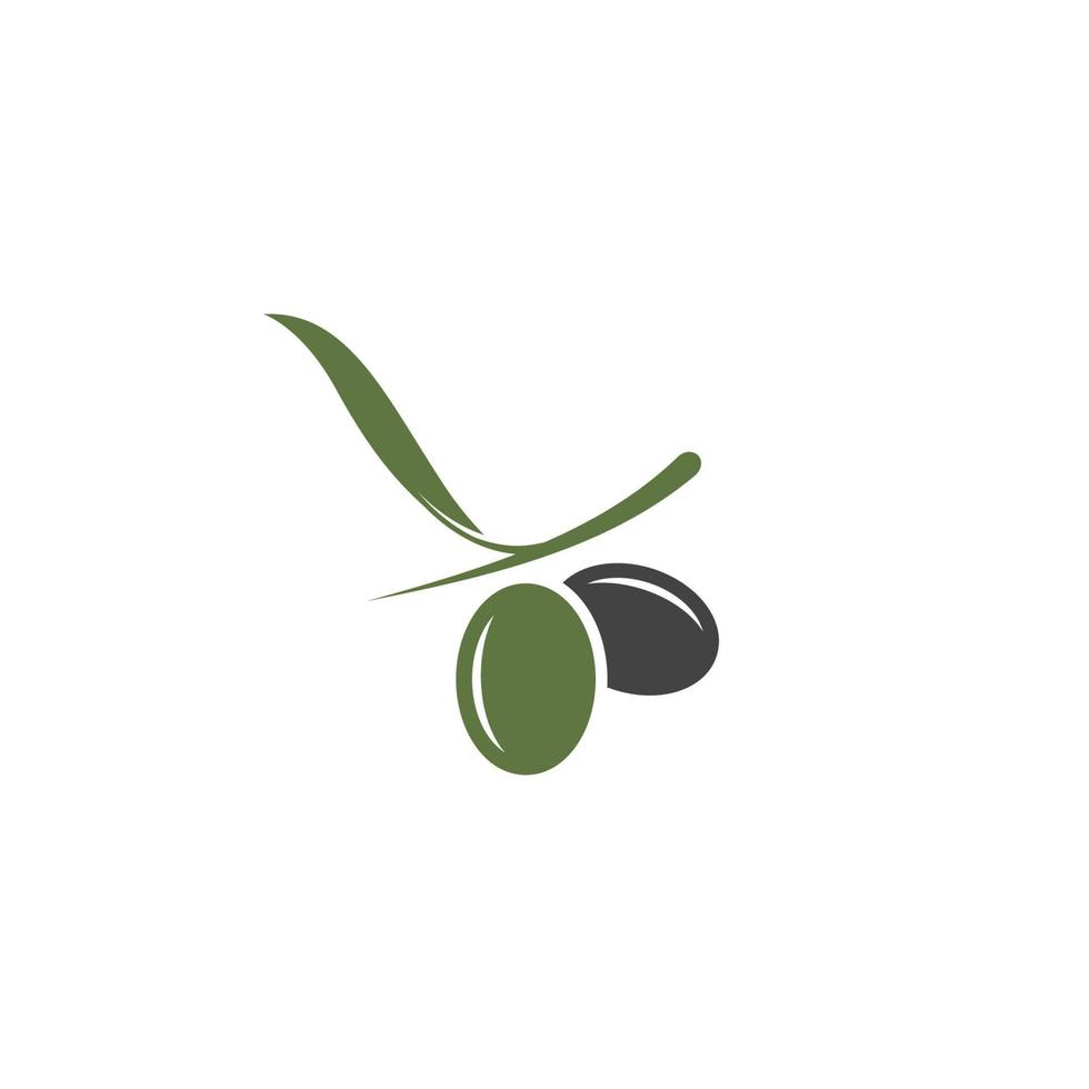 olive icon vector illustration