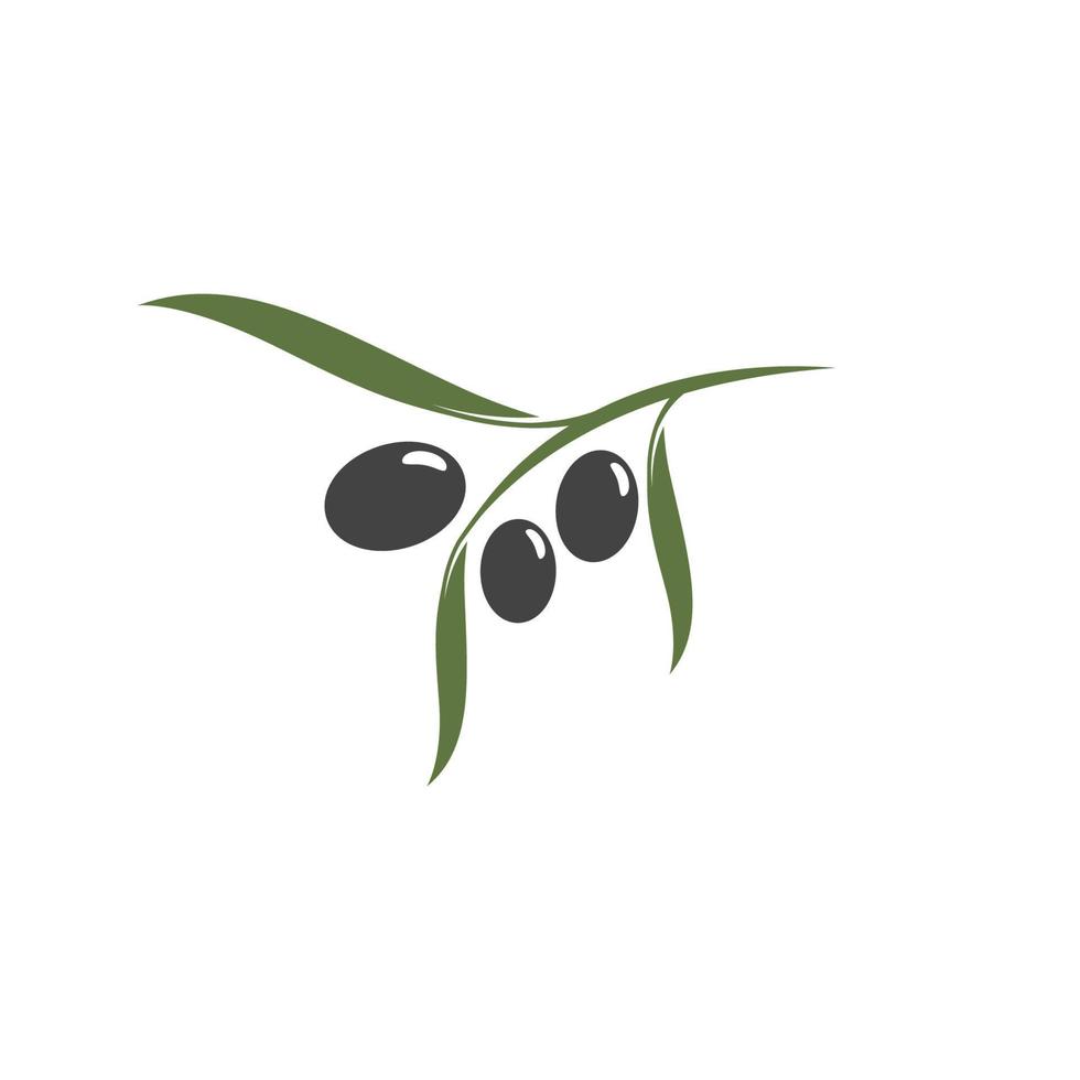 olive icon vector illustration