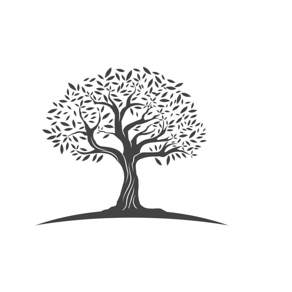 Olive tree vector illustration