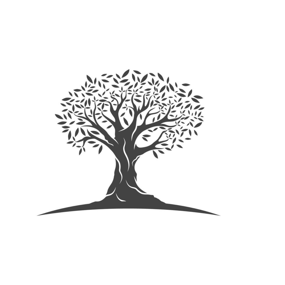 Olive tree vector illustration