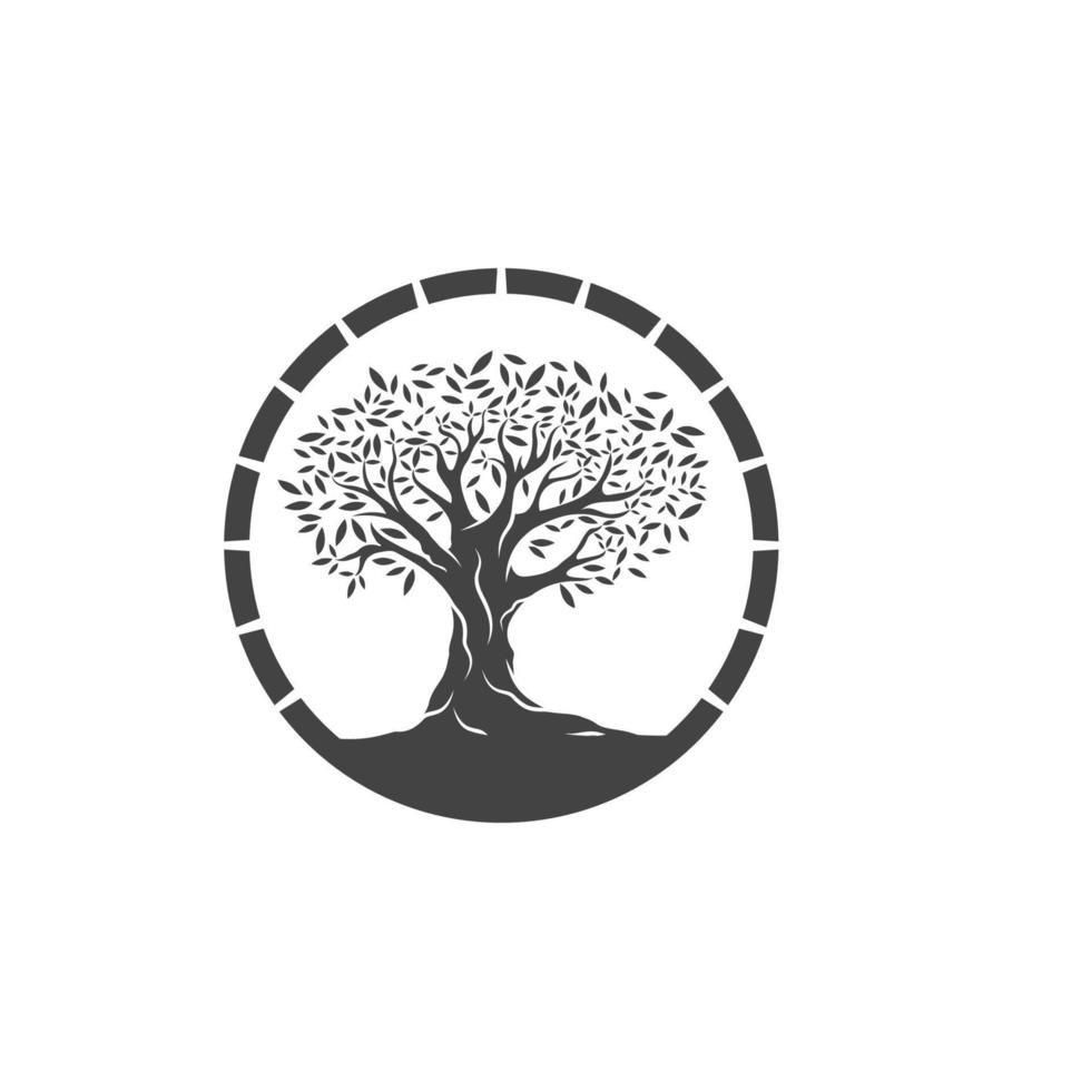 Olive tree vector illustration