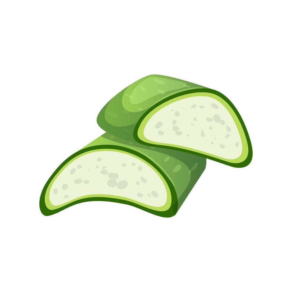 aloe vera slice cartoon vector illustration