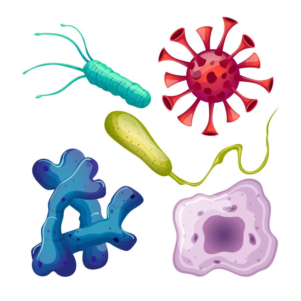 conjunto de células de virus de bacterias ilustración vectorial de dibujos animados vector