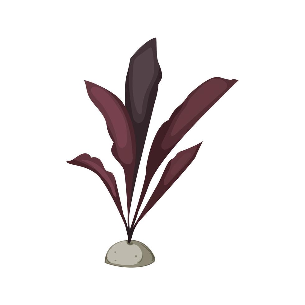 aquatic aquarium plant cartoon vector illustration