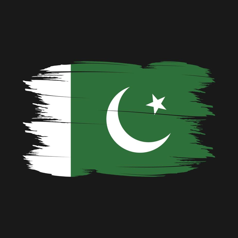 Pakistan Flag Brush Vector Illustration