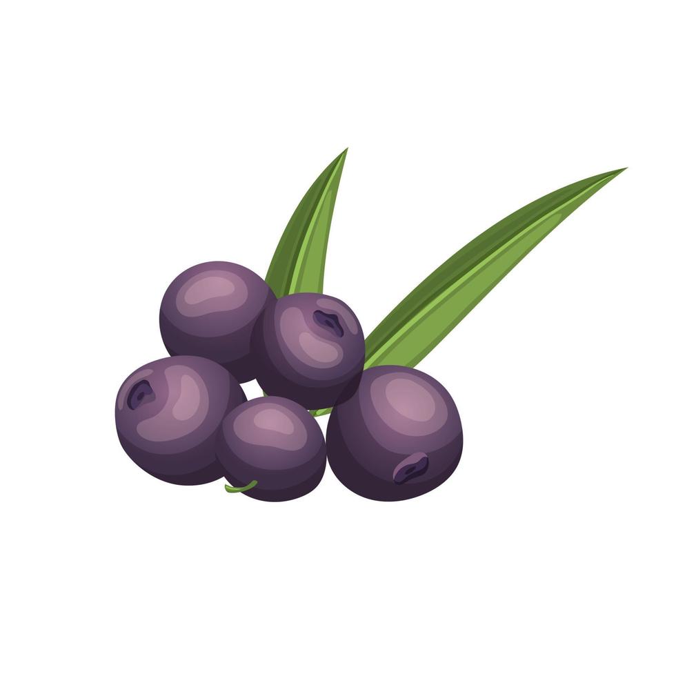 ilustración de vector de dibujos animados de fruta de acai