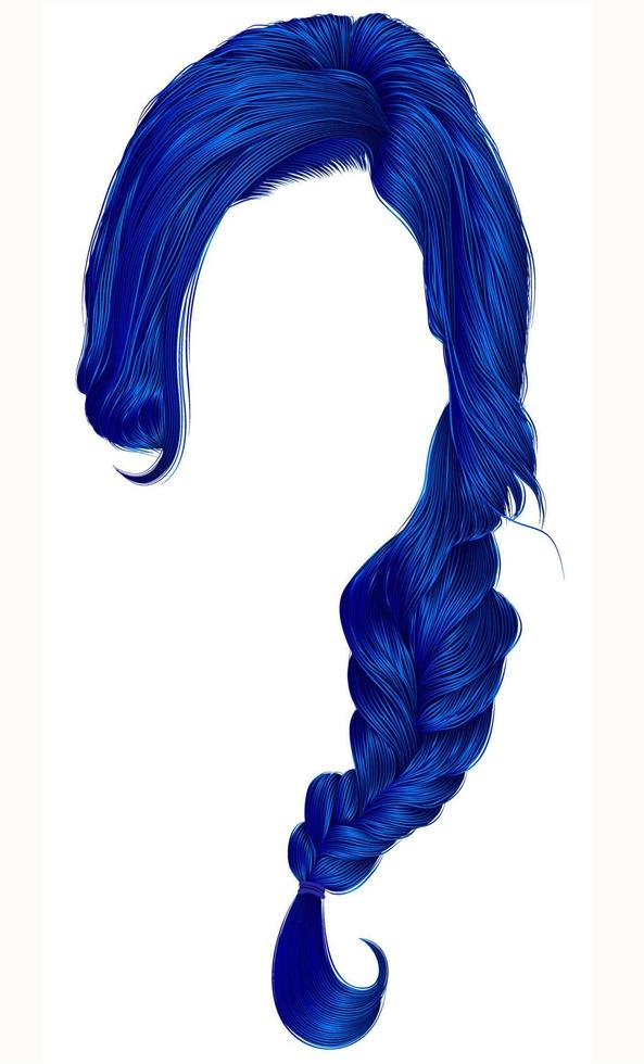 trendy women hairs dark blue colour . plait .  fashion beauty style . vector